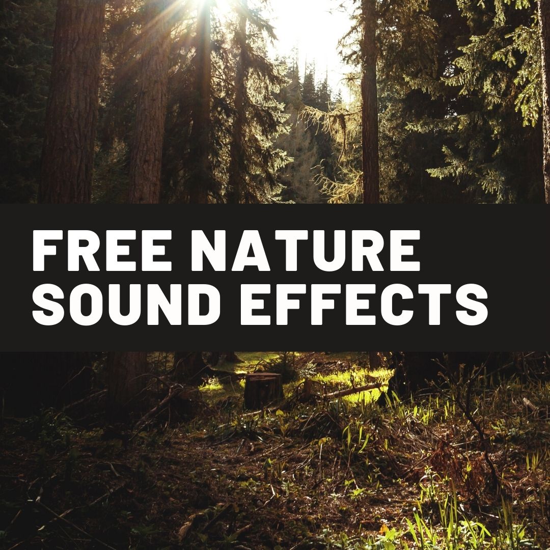 Free Nature Sound Effects – Sounds Best